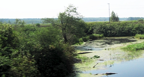 Przystąpiono do prac nad planami ochrony terenów Natura 2000