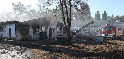 Region: pożar strawił kurnik i drób warte milion złotych