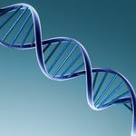 Inżynieria genetyczna - pomaga czy szkodzi? Seminarium w WSKiOZ
