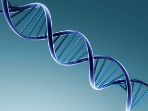 Inżynieria genetyczna - pomaga czy szkodzi? Seminarium w WSKiOZ