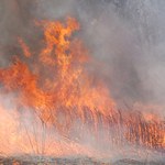 Paliło się 50 hektarów Biebrzańskiego Parku Narodowego