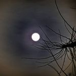 Obserwuj całkowite zaćmienie Księżyca