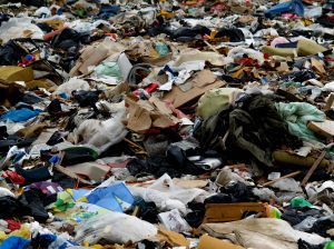 Śmieci z Białegostoku trafiają na dzikie wysypiska? 