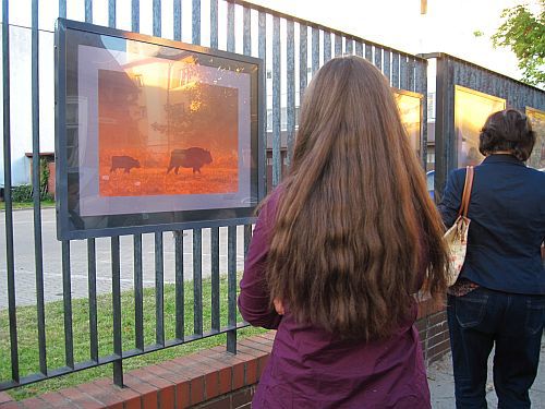 Sztuka na Fabrycznej, czyli nowa odsłona "Galerii na płocie"