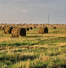 Nowy dyrektor w Ośrodku w Szepietowie