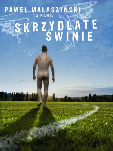 Pokaz filmu "Skrzydlate świnie" i spotkanie z Pawłem Małaszyńskim w OiFP