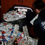 W Wasilkowie zlikwidowano przemytniczą "dziuplę"