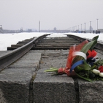 67. rocznica wyzwolenia obozu zagłady Auschwitz-Birkenau