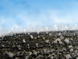 Diamentowy pył z nieba tylko na Podlasiu