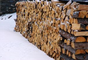 Wojewoda zaapelował o dodatkowe drewno dla potrzebujących