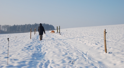 Zbliża się kolejna fala mrozów. Nie bądźmy obojętni na innych