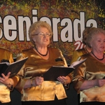 Seniorzy zaprezentują swój dorobek artystyczny