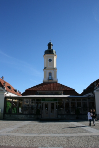 Bezpłatne zwiedzanie muzeów. Przewodnicy turystyczni obchodzą swoje święto