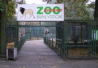 W Akcencie ZOO znaleziono bombę