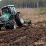 W podlaskich lasach pojawią się nowe drzewka