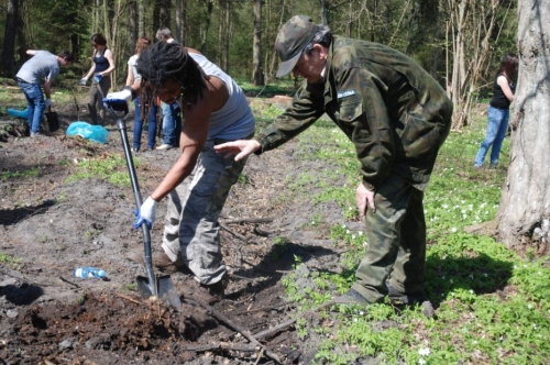 Zagraniczni studenci posadzili nowy las na Podlasiu