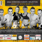 W sobotę odbędzie się Gala shindokai karate i muaythai