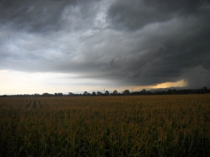 Meteorolodzy ostrzegają przed burzami z gradem