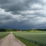 Meteorolodzy ostrzegają przed burzą i silnym wiatrem