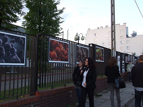 Galeria na Płocie przenosi w inny wymiar 