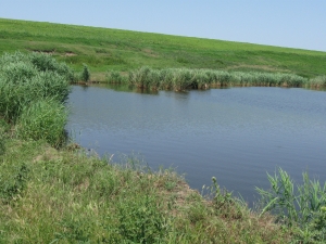 Region: most przez Narew w Bokinach będzie przbudowany