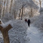 Podlasie gotowe, by pomagać potrzebującym zimą