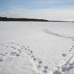 Kolejny dzień z opadami śniegu, miejscami intensywnymi