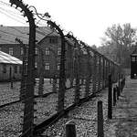 68. rocznica wyzwolenia Auschwitz. Obchodzimy Międzynarodowy Dzień Pamięci o Ofiarach Holokaustu