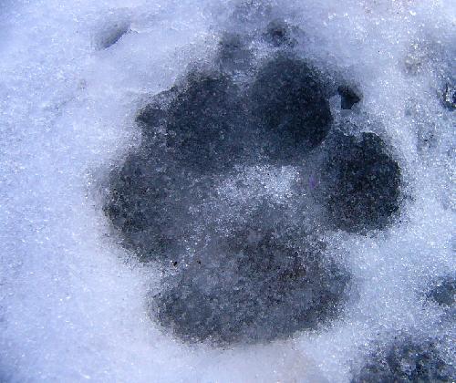 Pogoda. W ciągu dnia temperatura na plusie