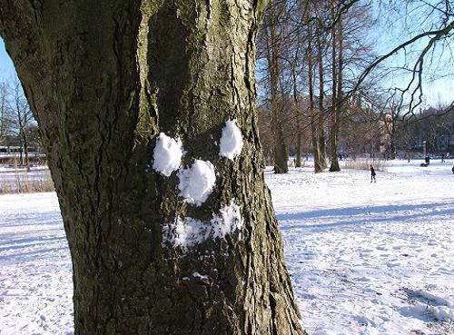 Temperatura na minusie, możliwe opady śniegu