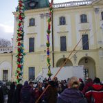 Najwyższa palma w Białymstoku ma 9 metrów