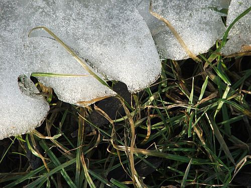 Temperatura na plusie. Możliwe opady