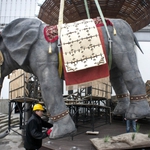 Trzymetrowy słoń w Białymstoku. Wielkie widowisko już niebawem