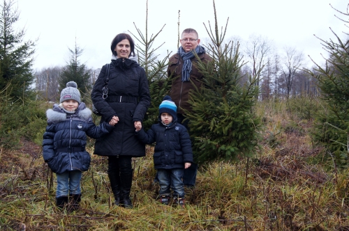 I Ty możesz posadzić swoją choinkę. Pod Białymstokiem powstanie plantacja drzewek