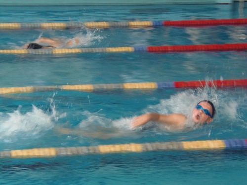 Rozegrano zawody pływackie o Puchar Dyrektora MOS