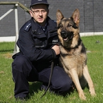 Podlaska policja poszukuje psów do tresury