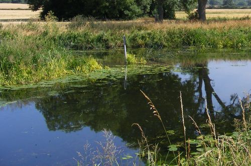 Kolejna ofiara rzeki. Mężczyzna był pijany