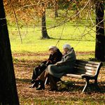 Chłód i trochę słońca. Pogoda na weekend