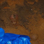 Przy areszcie śledczym znaleziono ludzkie szczątki