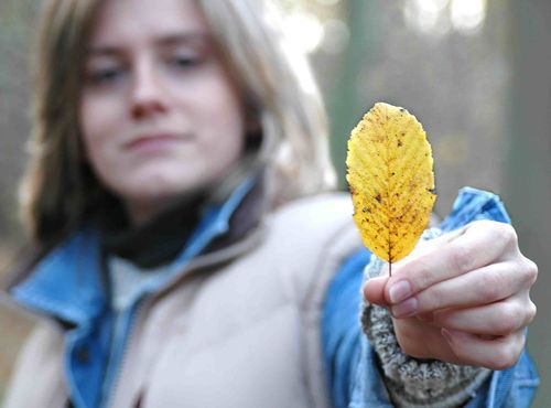 Pogoda na długi weekend: pochmurnie z przelotnymi opadami