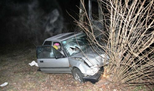 Pijany kierowca uderzył autem w drzewo. Dwie pazażerki zostały ranne
