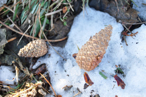 Pogoda na dziś: przelotne opady śniegu