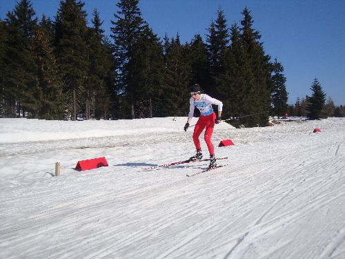 Zarząd województwa ufundował stypendia olimpijskie