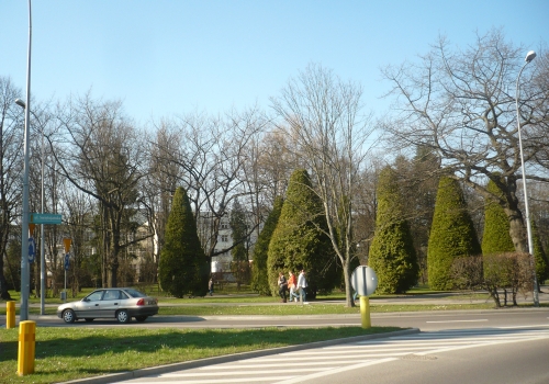 Skwer Lecha i Marii Kaczyńskich w parku Planty będzie na pewno