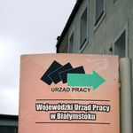 Jak znaleźć pracę? Darmowe warsztaty w WUP