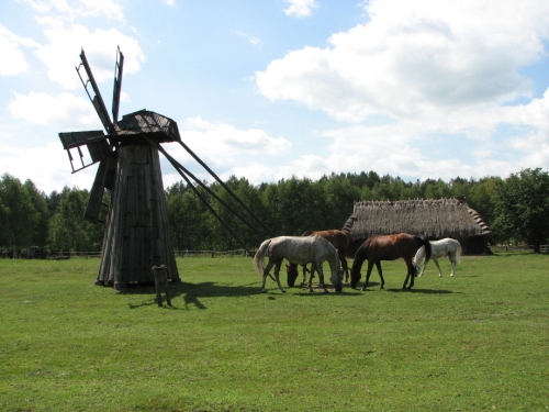 Skansen otwiera sezon. Bezpłatny wstęp i oprowadzanie po wystawach