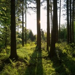 Pogoda na piątek. Ciąg dalszy słonecznej aury