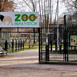 Przewodnik będzie oprowadzał po Akcencie ZOO