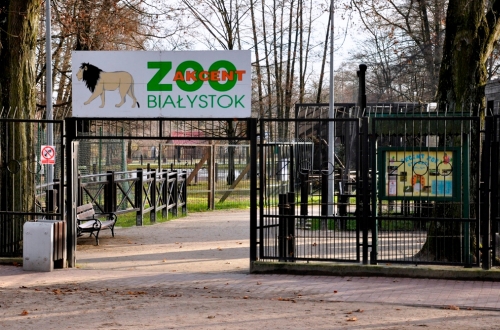 Przewodnik będzie oprowadzał po Akcencie ZOO