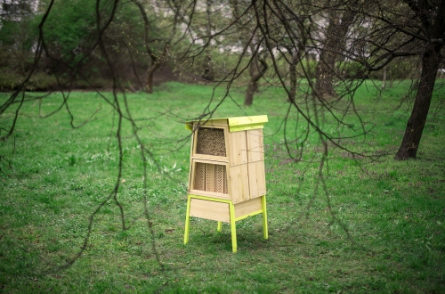 Miały powstać hotele dla pszczół, ale miasto ich nie chce
